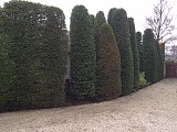 Onderhoud